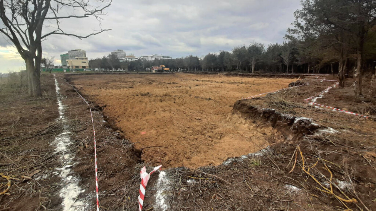 Interpelări Autorități: Pădurea Comorova